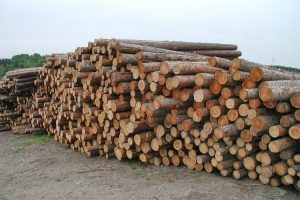 laerchen-rundholz-natur-rinde-holz-heckele