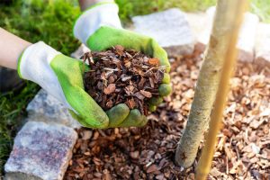 rindendekor-beste-qualitaet-holz-heckele